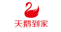 天鹅到家